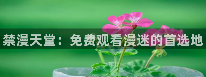 羞羞漫画免费漫画入口页面：禁漫天堂：免费观看漫迷的首选地