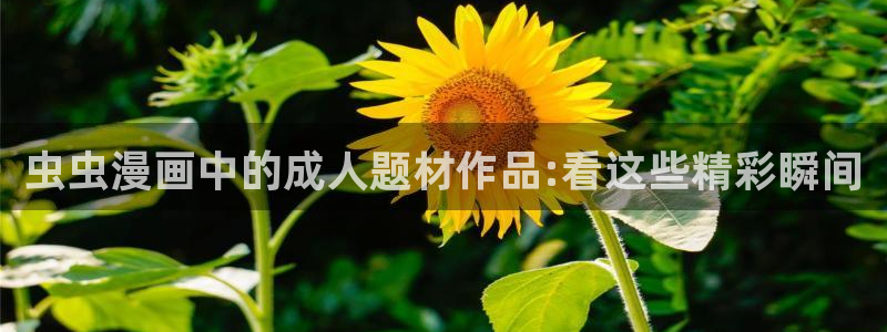 羞羞漫画进口：虫虫漫画中的成人题材作品:看这些精彩瞬间