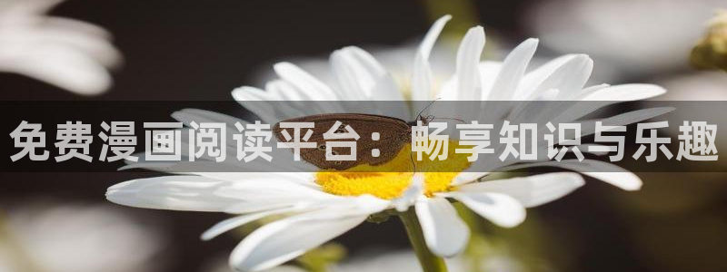日韩羞羞漫画：免费漫画阅读平台：畅享知识与乐趣