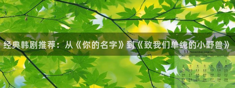 做羞羞漫画：经典韩剧推荐：从《你的名字》到《致我们单纯的小野兽》