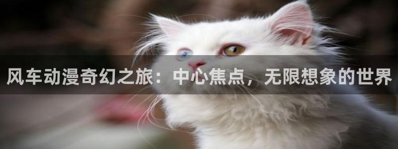 羞羞漫画为成人：风车动漫奇幻之旅：中心焦点，无限想象的世界