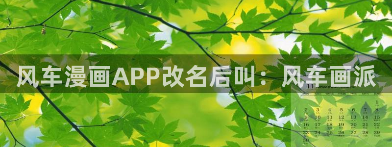 羞羞漫画进入网：风车漫画APP改名后叫：风车画派