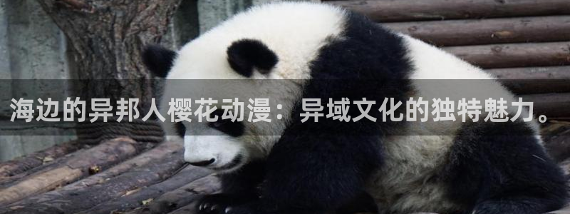羞羞漫画免费：海边的异邦人樱花动漫：异域文化的独特魅力。