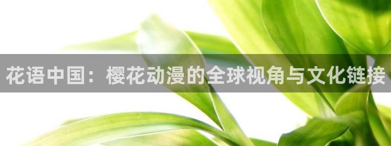 十八禁羞羞漫画：花语中国：樱花动漫的全球视角与文化链接