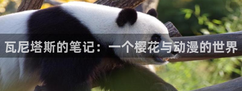 age漫画网：瓦尼塔斯的笔记：一个樱花与动漫的世界